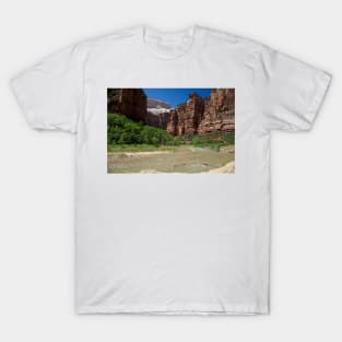 WGC_4187 T-Shirt